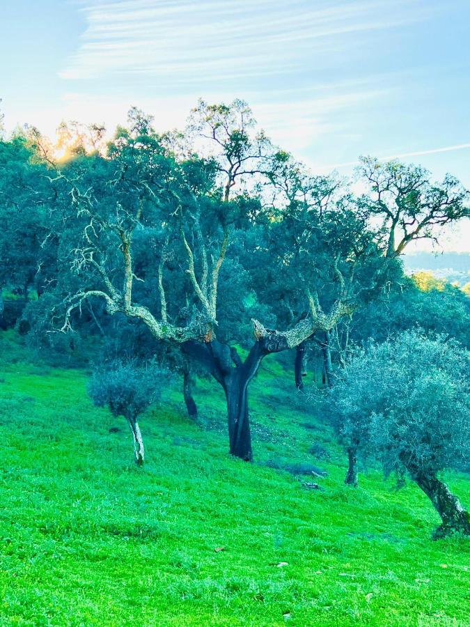 Vila Quinta Castanheiro Da Penha - Alegrete - Portalegre - Alentejo Exteriér fotografie