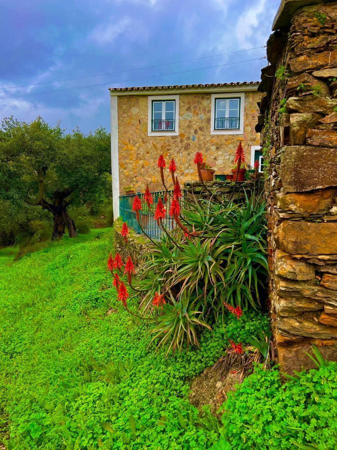Vila Quinta Castanheiro Da Penha - Alegrete - Portalegre - Alentejo Exteriér fotografie